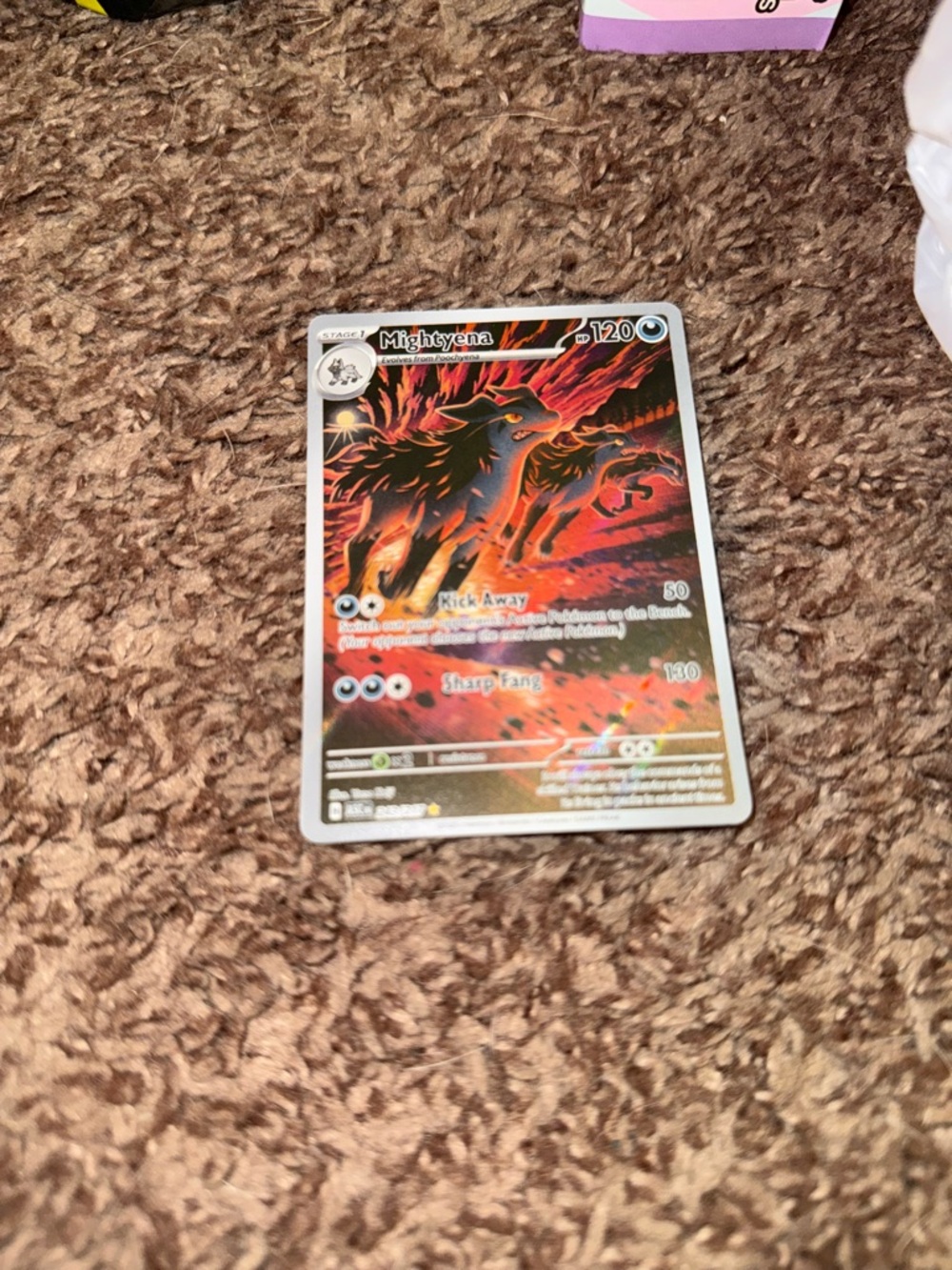 Pokemon Ascended Heroes- Mightyena - Illustration Rare - 243/217